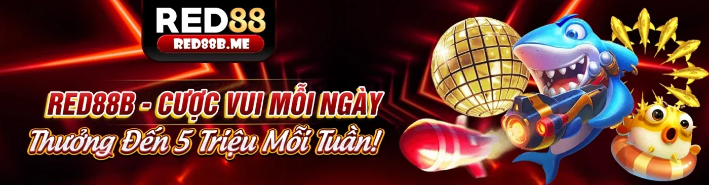 Hình ảnh chính về chiến lược cá cược thể thao 79king bet